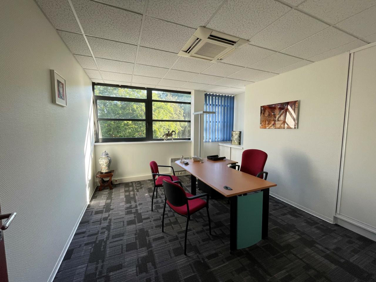 Bureau Oberhausbergen 300m² Location bureau Oberhausbergen Bas-Rhin OLBUR2315606 4